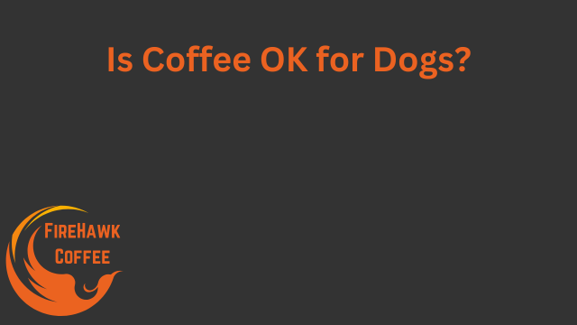 Is Coffee OK for Dogs?